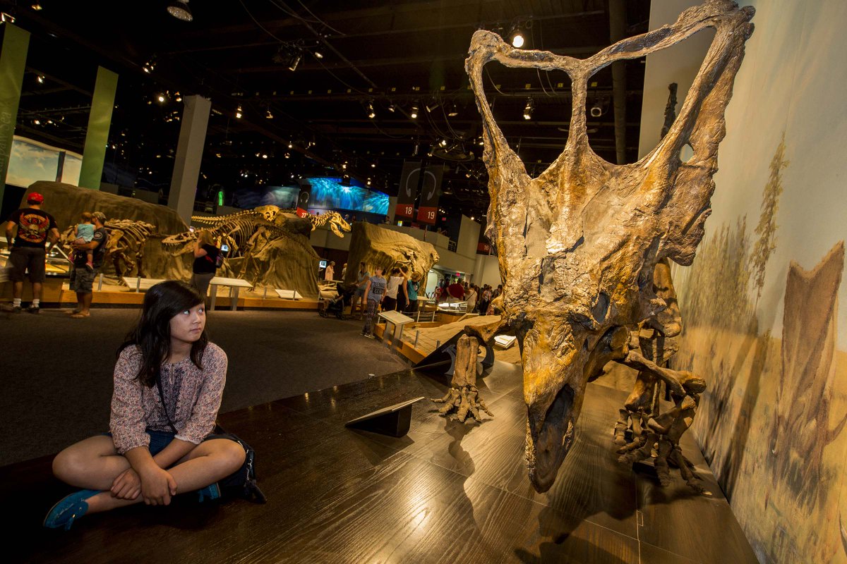 GarciaAlbertoP's tweet photo. Royal Tyrrell Museum@ Drumheller Alberta #dinosaur #Tourismalberta #drumheller #alberta http://t.co/8CMp3k8iaW