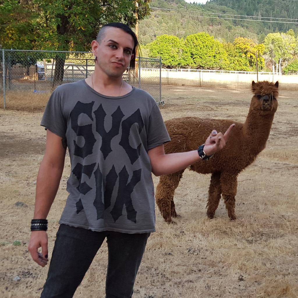 deckerdrummer's tweet photo. Hangin w/ Alpaca Jackpot & rockin #SycFuk be4 show @ Johnny B's in #Medford 2nite! #tourlife #StitchdUpHeart #animal http://t.co/K63xOc6w7a