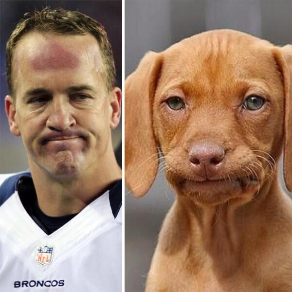 PatsNationTM's tweet image. 