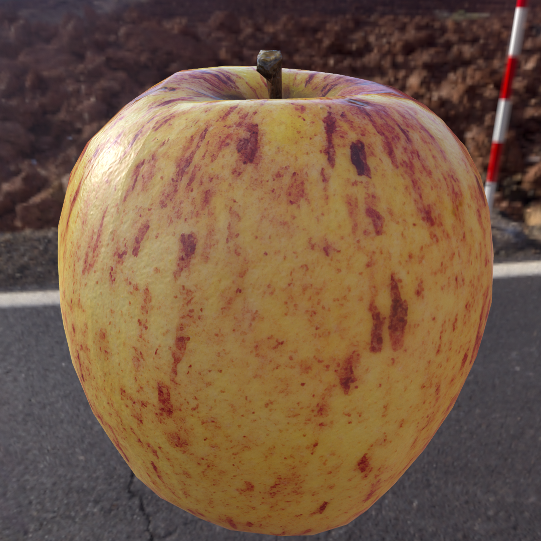 lumi3dstudios's tweet photo. Apple scan|Download the 1.6m poly mesh and 16k texture, as well as 1k gamerez and 4k maps
http://t.co/xUYCwz6tlh http://t.co/N5ondW1VOO
