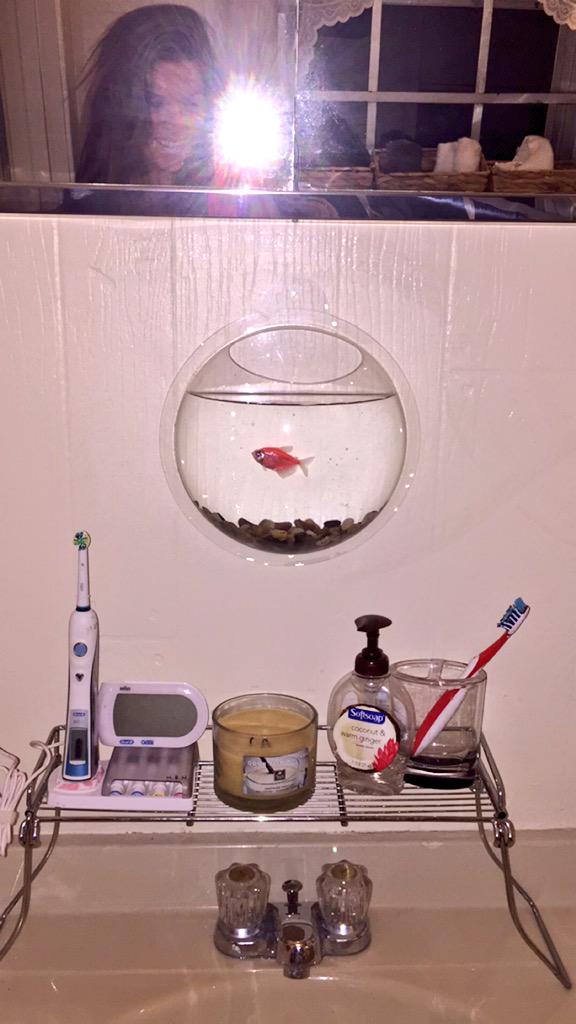 MyleeNipper's tweet photo. How to get your kids to brush their teeth.. or yourself lol 🐠💙 http://t.co/n0Bui7DOwA