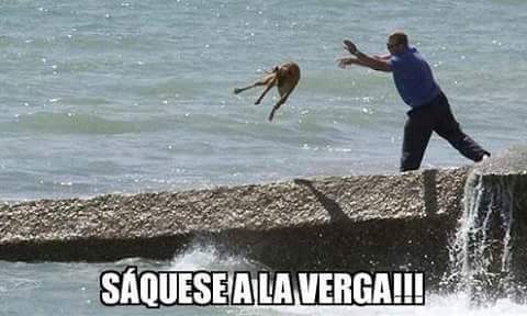 JosftPapadas's tweet image. Cuando las ardidas  nos vienen a bardear
#CoderProblems
