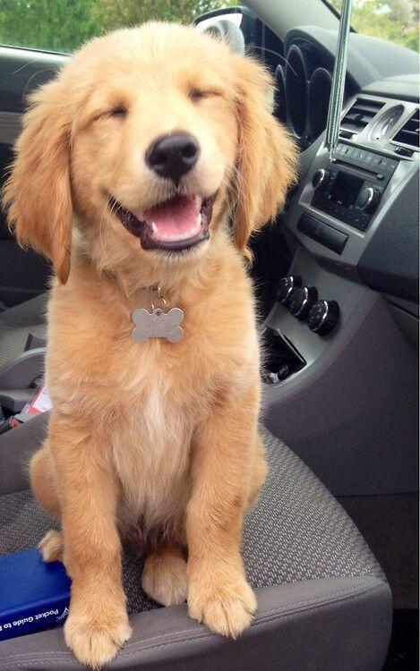 #Cuteness tweet media