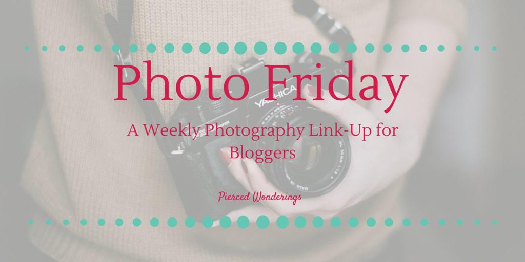 Amazing #photos are already being shared - join us! #PhotoFriday is live! buff.ly/1ilkH6O @iRTBloggers #photog