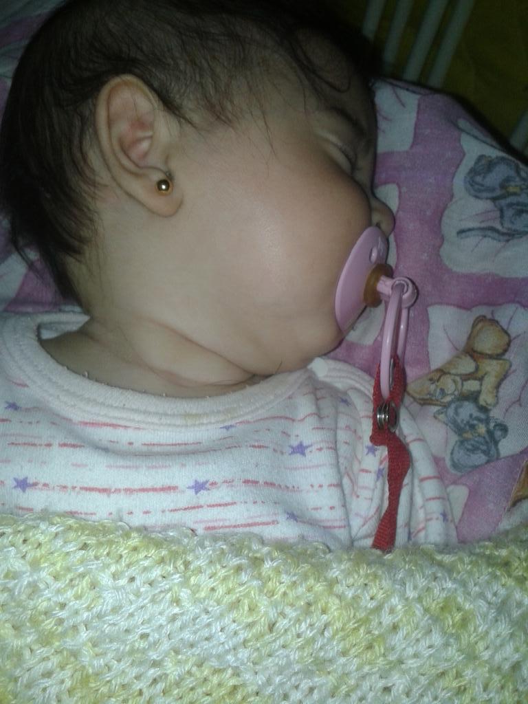 maria rosa fernandez tweet media