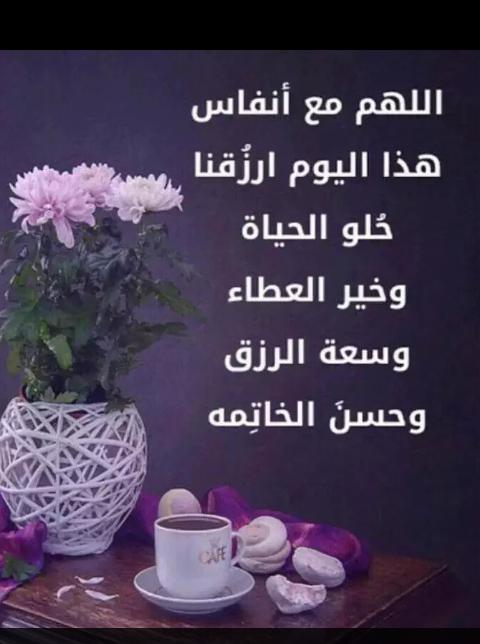 الحوت tweet media