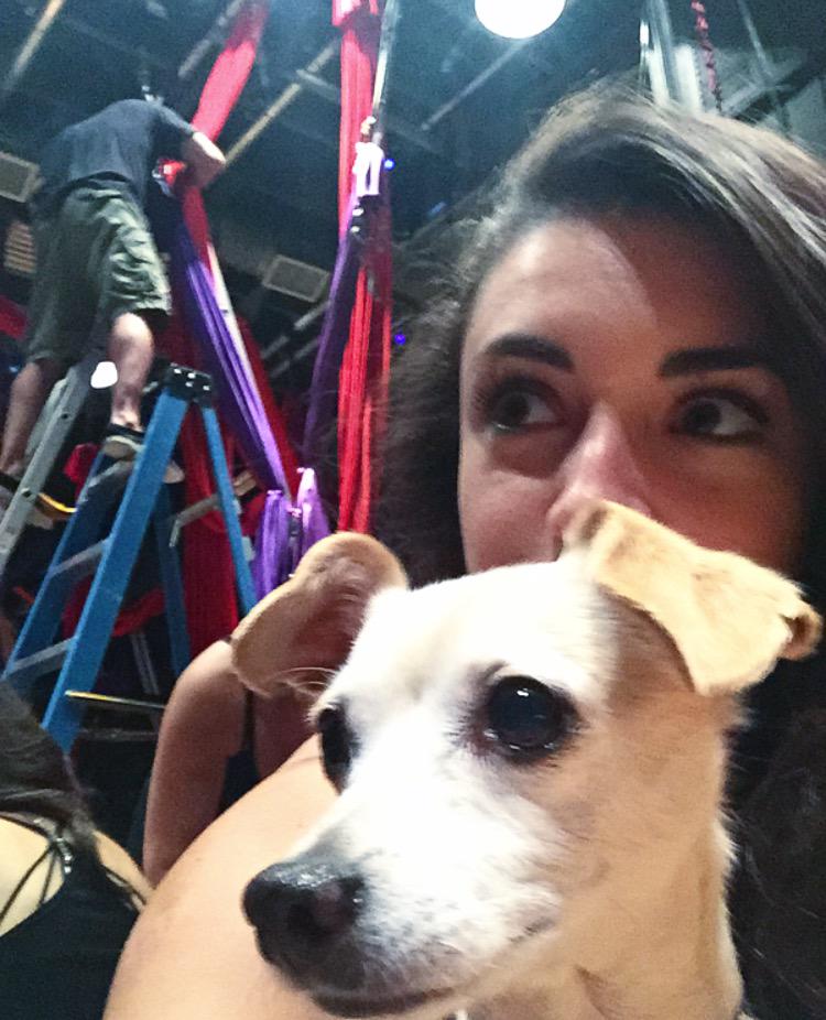 DanieBobadilla's tweet image. Supervising the aerial rigging for this weekend's shows with cutie 🎪❤️ #aerialsilks #aerialdance #showweekend