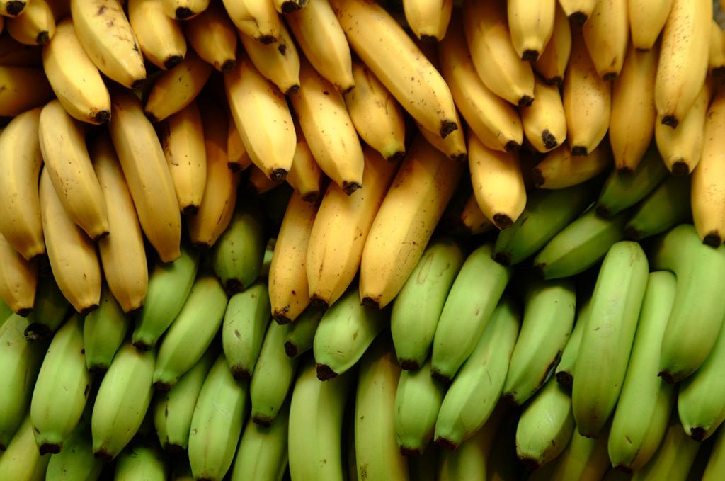 RecipApps's tweet photo. Are Bananas Really Worth the Calories?
#banana_bread #banana_recipes
http://t.co/cZN1u5fvHk http://t.co/1QYlxMx4vt