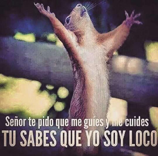 EuDanielaAraujo's tweet photo. http://t.co/XRe3kinHeJ