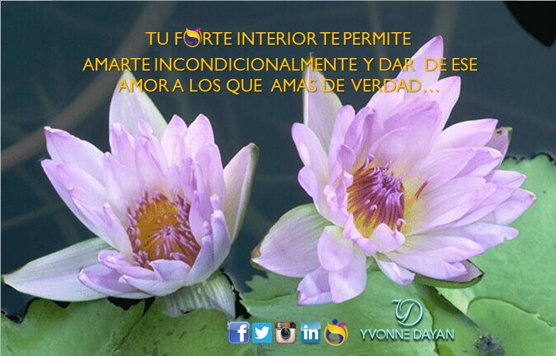 YvonneDayan1's tweet photo. #InnerForte Dicta seminarios en las diferentes ciudades en los #Estadosunidos, #Newyork, #Miami, #Manhattan y otras. http://t.co/QegzSMzbuI