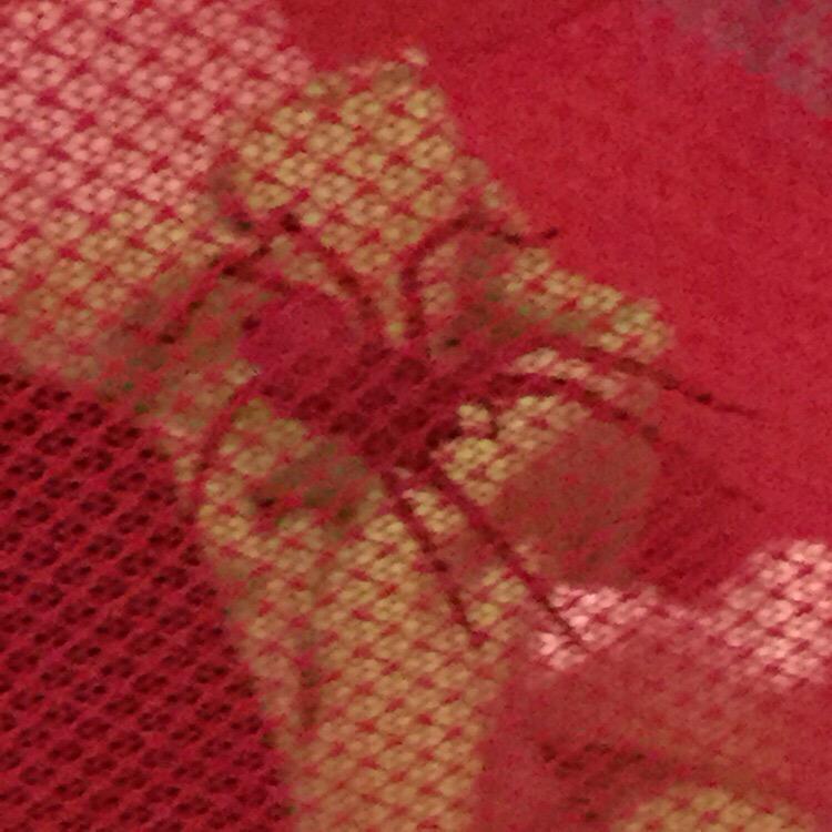 CambryLynch's tweet photo. I didn't know Spider-Man lived in zeta! That's a CD sized spider if you were wondering 😳 #zetahousepet http://t.co/Bt0u5Y9pVS