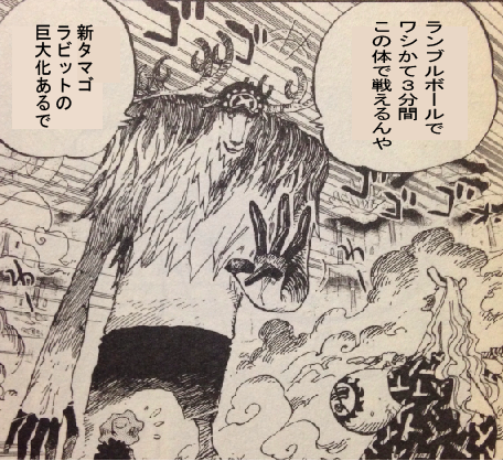 城とシーサー 城ドラーズ En Twitter メンテ明け 新タマゴ発売ですね 予想もう一度 イカリの一回発動は自信あります チョッパーも巨大化押してる 明日 新タマゴ うさぎ ラビットくる スキルはイカリ 発売前予想 Http T Co Vzkte9db5h Http T Co
