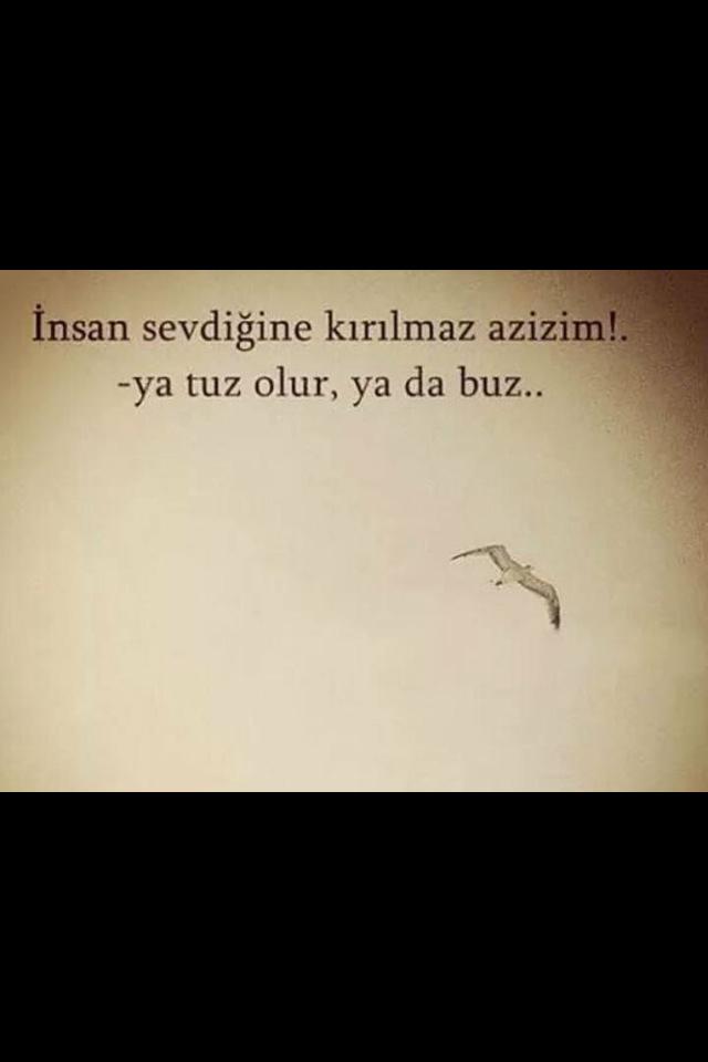 kriyoskobi's tweet photo. Kuru dallarında kanatlarım kırılıp koptu... http://t.co/OqmpGIXCV0
