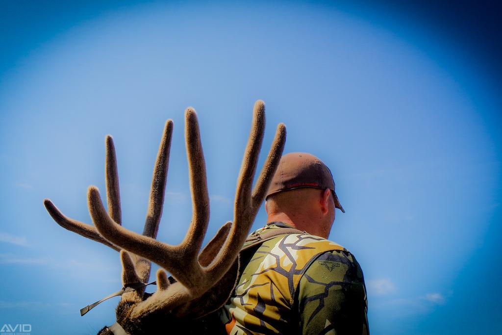 huntavid's tweet photo. Hard work pays off @huntavid @PredatorCamo @UAHUNT @VortexOptics @HOYTARCHERYInc @leica_camera @swarovski http://t.co/w4cXEEROML