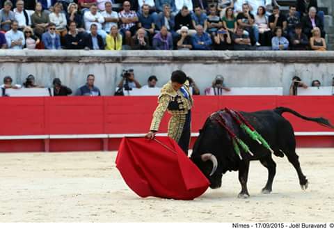 charomunozrome1's tweet photo. Nimes, 17 de septiembre http://t.co/t91kkFJ0OJ
