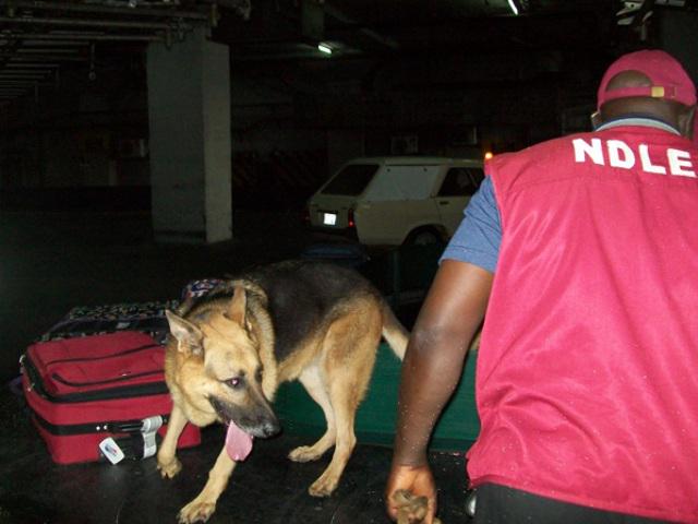 Drwarriconnect's tweet photo. @vanguardngrnews Money-laundering: NDLEA arrests 6 for swallowing $156,000
http://t.co/fq3lsm3j0I http://t.co/5WzlJv33Uw