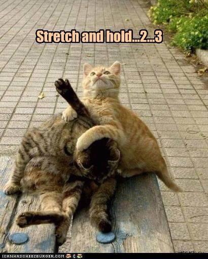 DJNCLMT's tweet photo. Stretching does the body good!
http://t.co/Vl7DY9QY2V http://t.co/wysJwsqzIh