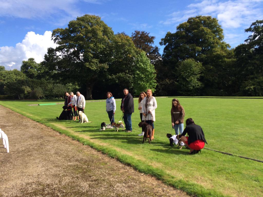 Txertatutako irudiaren behin betiko esteka