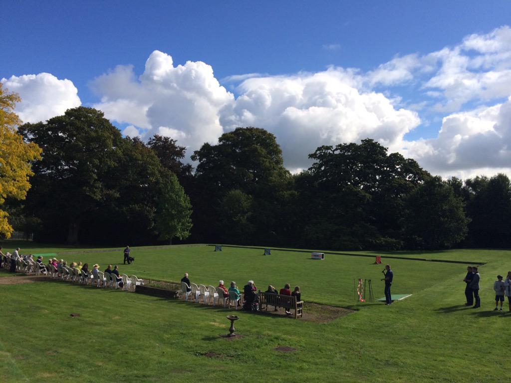 Txertatutako irudiaren behin betiko esteka