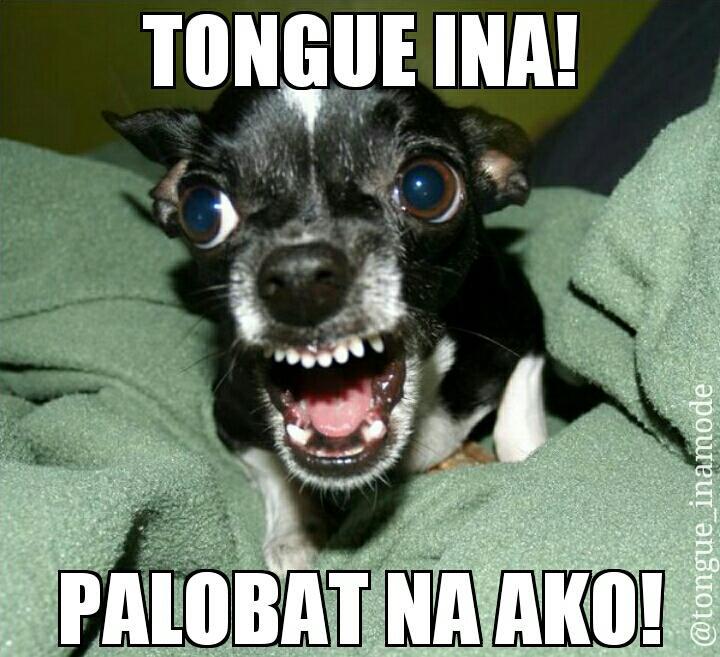 tongue_inamode's tweet photo. THat moment! Monster mode kuha charger moves! π
#ShitThat http://t.co/alJudjopMQ