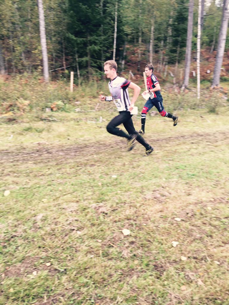 alwaysbus's tweet photo. .@kotnus löper som en snabb katt #sm #mjau http://t.co/ODpq1L6WFk