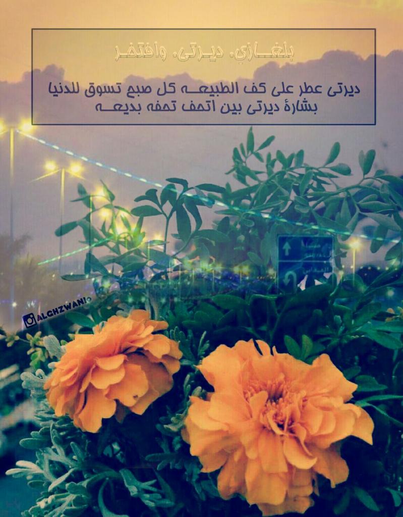 samsungm191's tweet photo. #قروب_مبدعي_بلغازي
#بلغازي_ديرتي_وافتخر
#غزوانيه_الهوى http://t.co/k46yZGjHNx