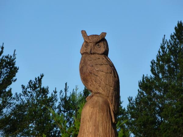 gallowaycamping's tweet photo. The newly rejuvenated Glentrool Campsite in SW Scotland says hi! 

Welcome to Expedition Base Camp... http://t.co/pakRjQi17A