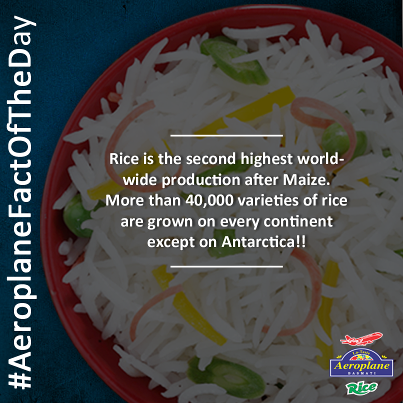 Aeroplane_Rice's tweet photo. #AeroplaneFactOfTheDay
Rice is the most important grain for human consumption!
#RiceForHealth #FactsAboutRice http://t.co/U0SHYnHSPn