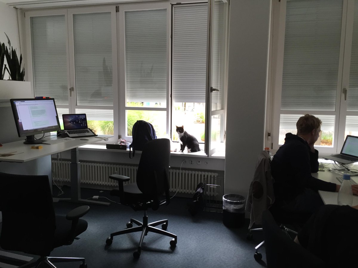 devdreas's tweet image. Office cat Albert is back!