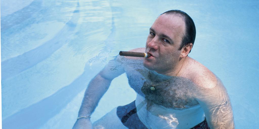 Happy birthday, James Gandolfini! (18 Sep 1961 - 19 Jun 2013)

Gone too soon. One of the greatest to ever do it 