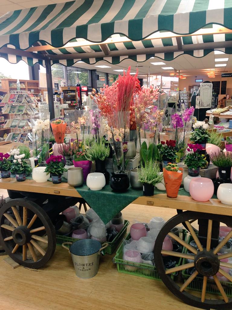 shedderly's tweet photo. Our vibrant old cart perfect for merchandising our horticultural offers in the farm shop. http://t.co/5RHRg1mpHK