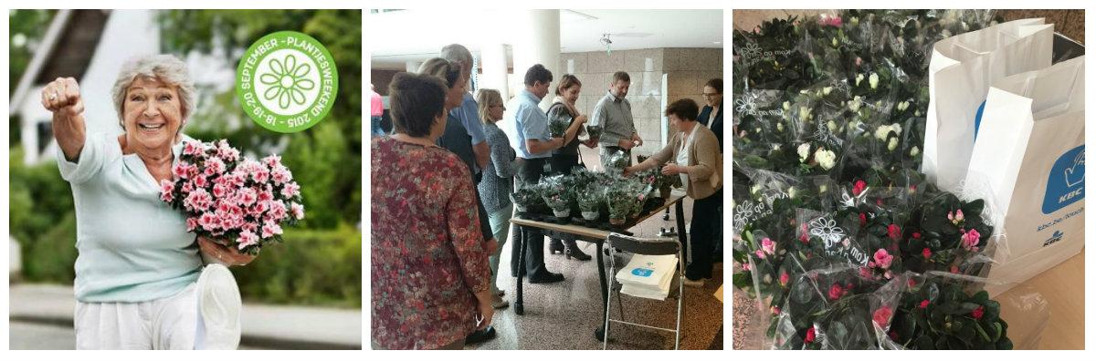 liesbesth's tweet photo. “@KBC_BE: Koop een azalea t.v.v. @KOTKanker #plantjesweekend http://t.co/rqiZRD0t7l http://t.co/jsc2WksraF” goed verkocht ! Thx!