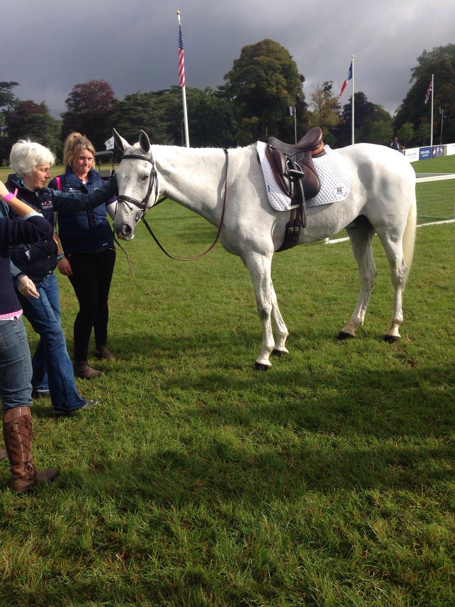 Lloydbell's tweet photo. #PippaFunnell and Billy the Biz have moved into second @BlenheimHorse. Hear her thoughts: http://t.co/8okw7vR6Gz http://t.co/elxXjGbTBe