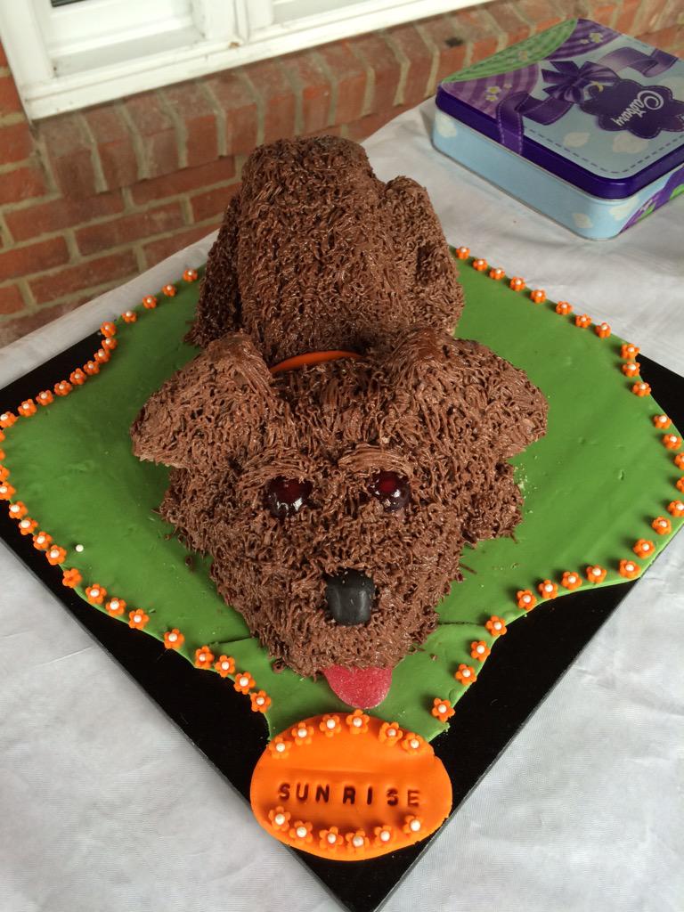 Txertatutako irudiaren behin betiko esteka