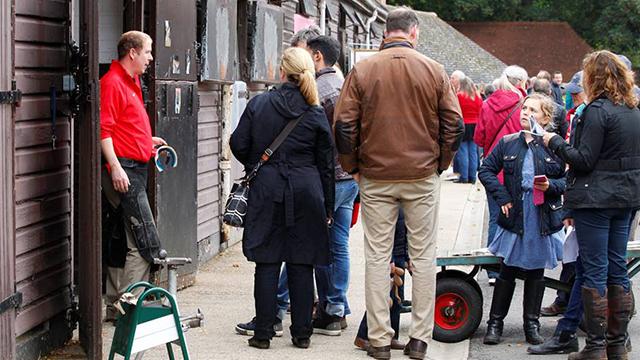 RacehorseOwners's tweet photo. Interested in racehorse ownership? Visit http://t.co/ME6qaQQfpj this weekend - many yards open plus loads more http://t.co/HB9lMGjlmR