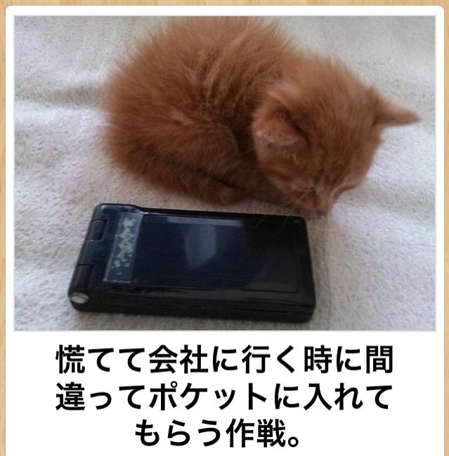 _BOKETE_BOT's tweet photo. https://t.co/uhez3fokJq
