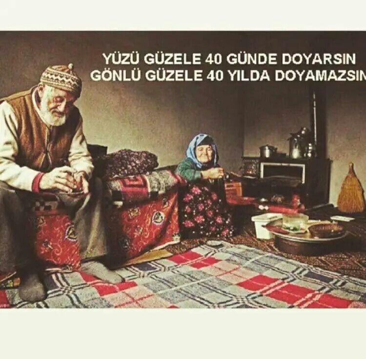 SadiqHuseynoff's tweet image. 