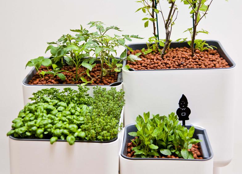 BrinDeJardin's tweet photo. #Réduction de 15% pour chaque don de 3€ à l’#association @PlaneteUrgence sur @GoodMoov http://t.co/aQapw1B84h
