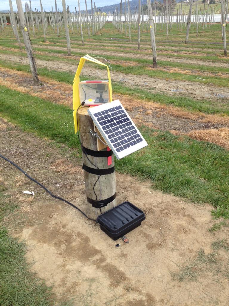 robertlamberts1's tweet photo. Hop growing time lapse photography setup is ready to go. All we need now is for the hops to start growing http://t.co/yRmcdR3gzF