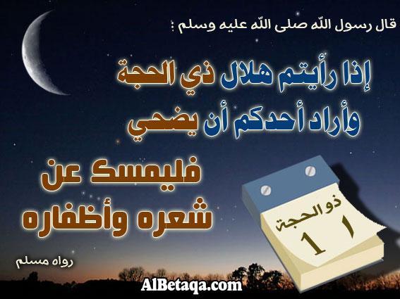 MohamadAlarefe's tweet photo. قال ﷺ:
إذا دخلت العشر، وأراد أحدكم أن يضحي، فلا يمس من شعره وبشره شيئا.
رواه مسلم،
وفي رواية: فليمسك عن شعره وأظفاره http://t.co/jCeXsPazaG