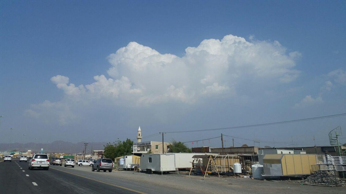 دفتا hashtag on Twitter