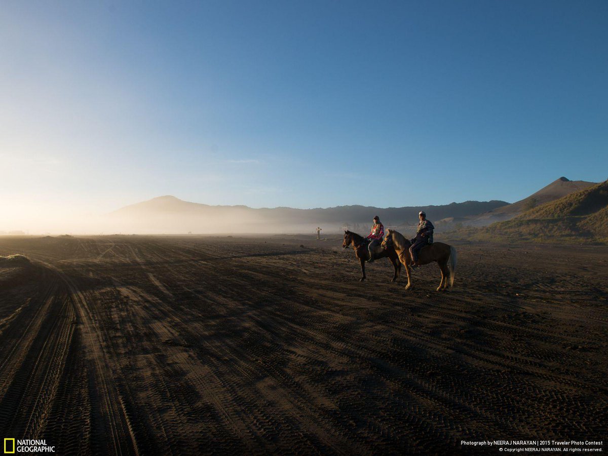 NatGeoTravel's tweet photo. Horsemen of Mount Bromo wait for early morning http://t.co/Cxh20Wdahh http://t.co/sH4l6DJ5vC