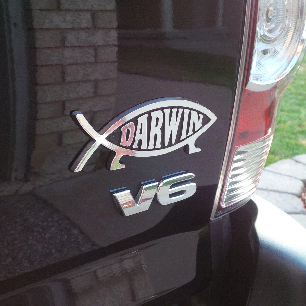 THEshabbs's tweet photo. Newest addition to the truck! Sweet. #DarwinFish @howlinhounddog @june_bug_june http://t.co/lpRo08jknd