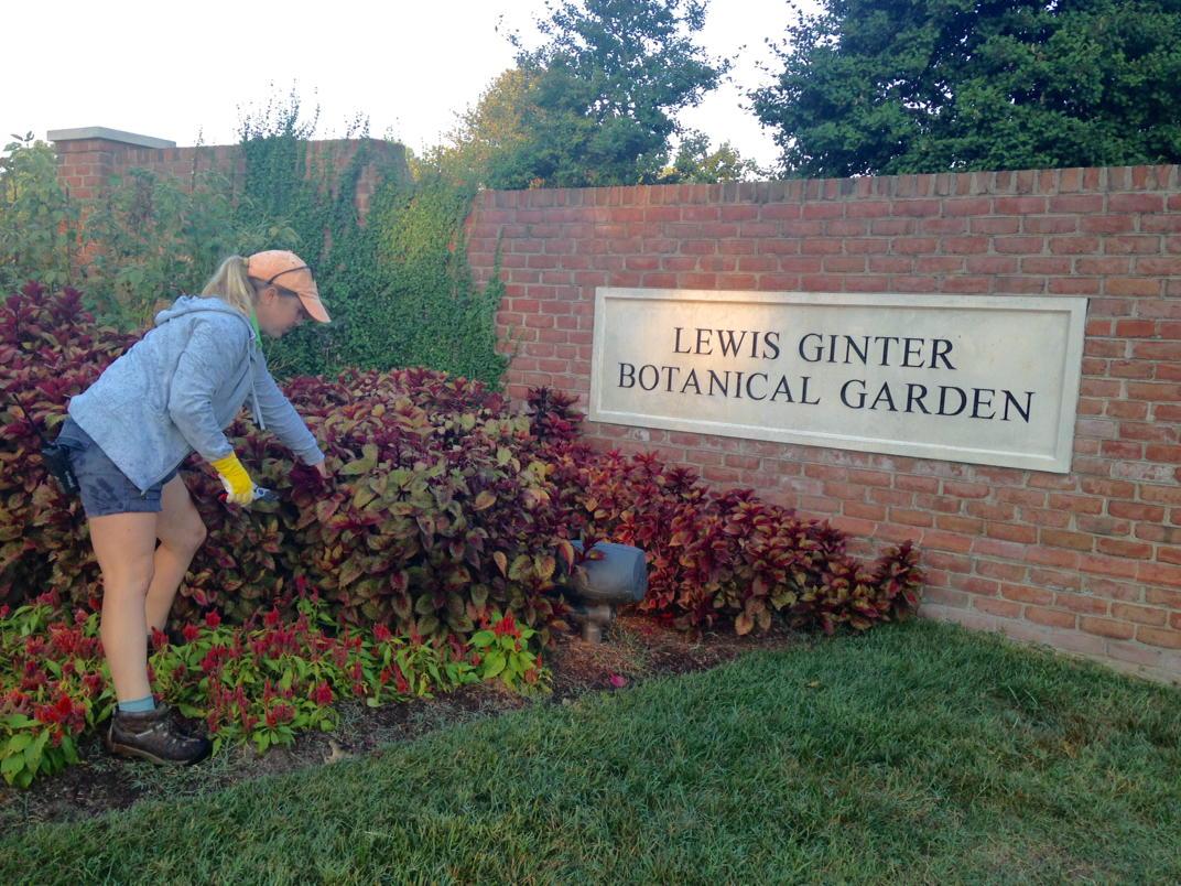 BethRMonroe's tweet photo. At @lewisginter: last minute prep for @uci_cycling @richmond2015 #rva #richmond2015 #uci http://t.co/Yof1Y6ERHT