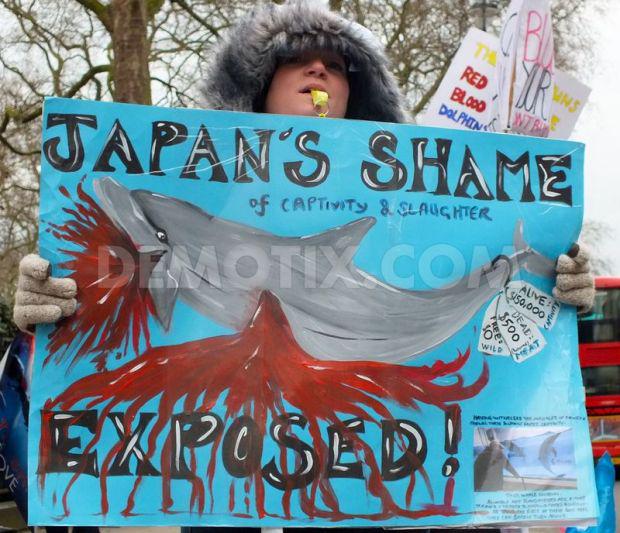 trarchus's tweet photo. The strongest weapon you have is your voice use it to speak out against this atrocity &amp; inspire change #StandUp250 http://t.co/s2xTqqUIgu