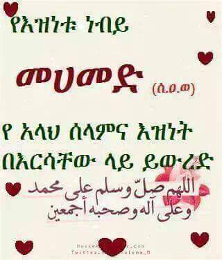 ddffs2014681's tweet photo. @DimtsachinYisem http://t.co/YiQJg2mChp