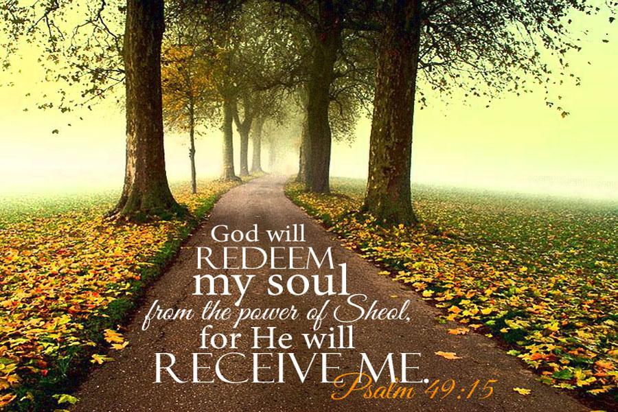 Trusting1God's tweet image. What is your favourite verse?
SHARE your #love to #God.