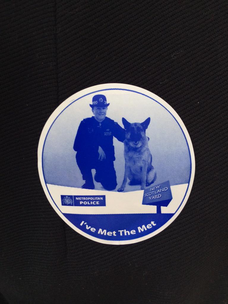 Txertatutako irudiaren behin betiko esteka