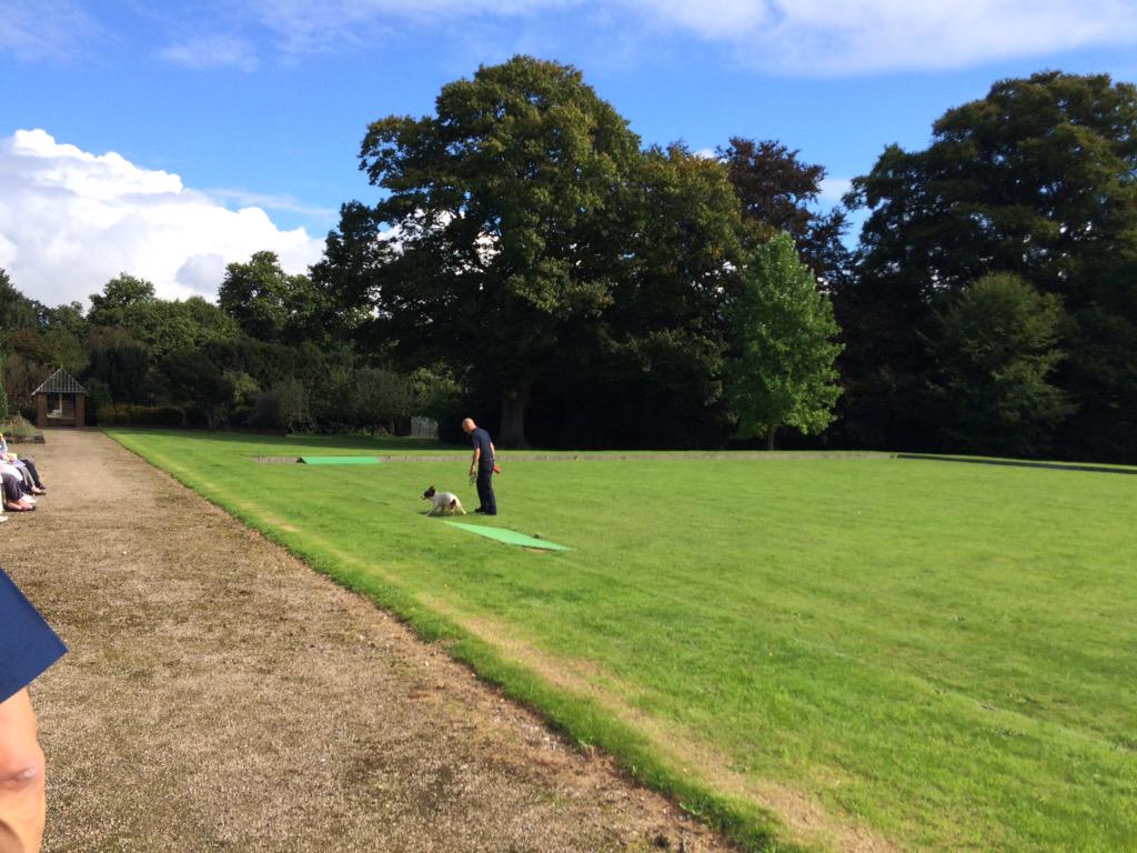 Txertatutako irudiaren behin betiko esteka