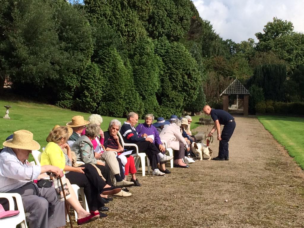 Txertatutako irudiaren behin betiko esteka